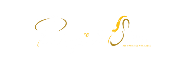 Patiyala Shoes